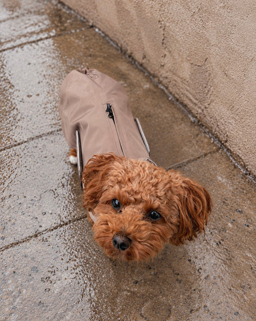 RAIN COAT · TAUPE
