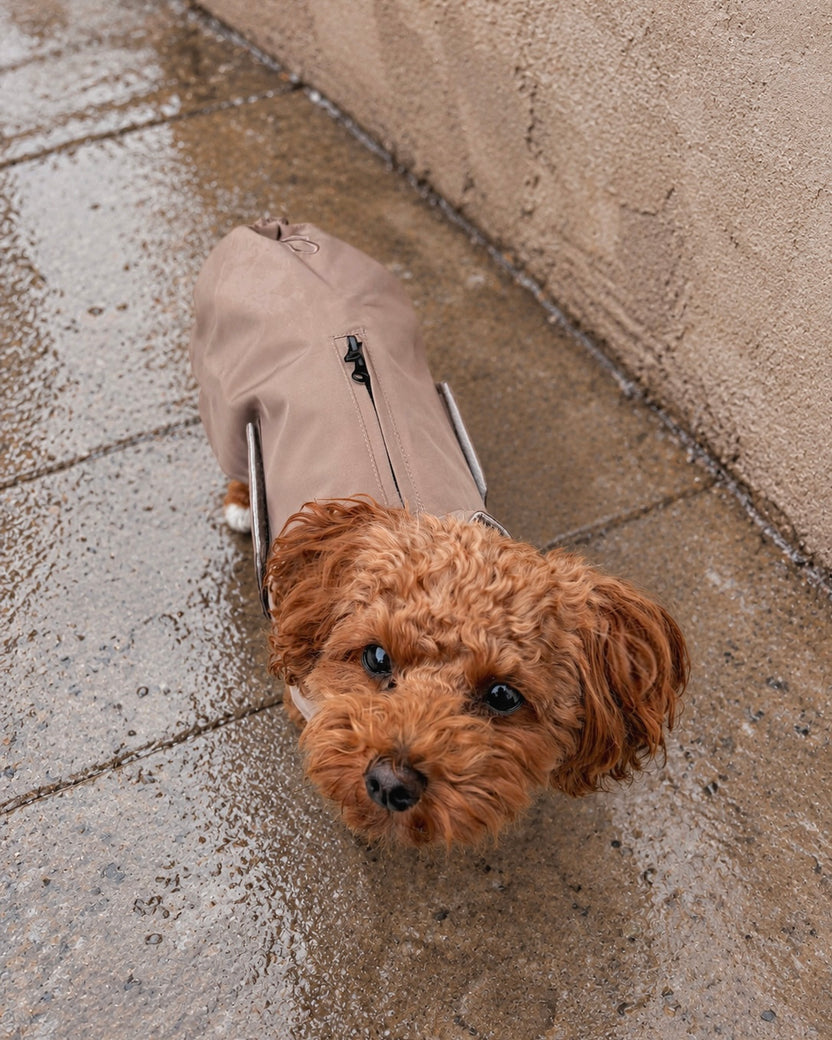 RAIN COAT · TAUPE – Pebble for Pets