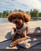 Harness · Linen Taupe