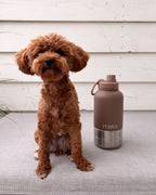 Go Bottle · Mocha Stone