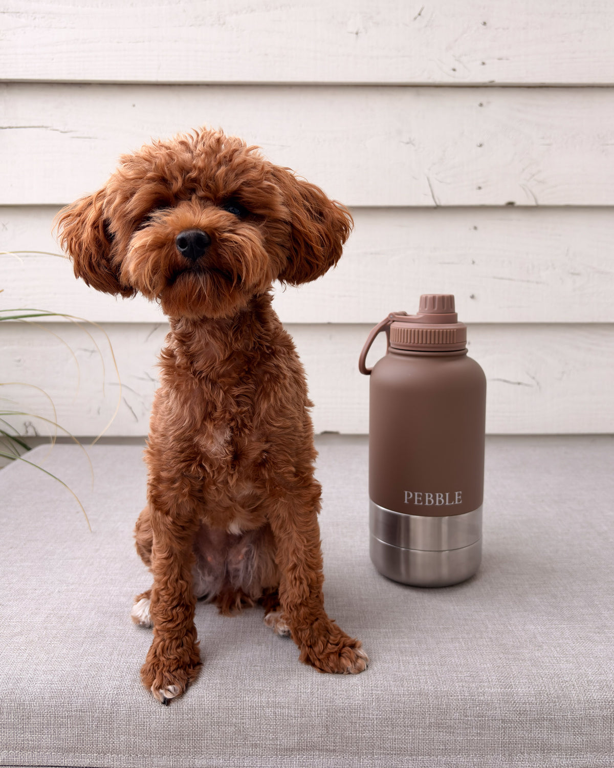 Go Bottle · Mocha Stone