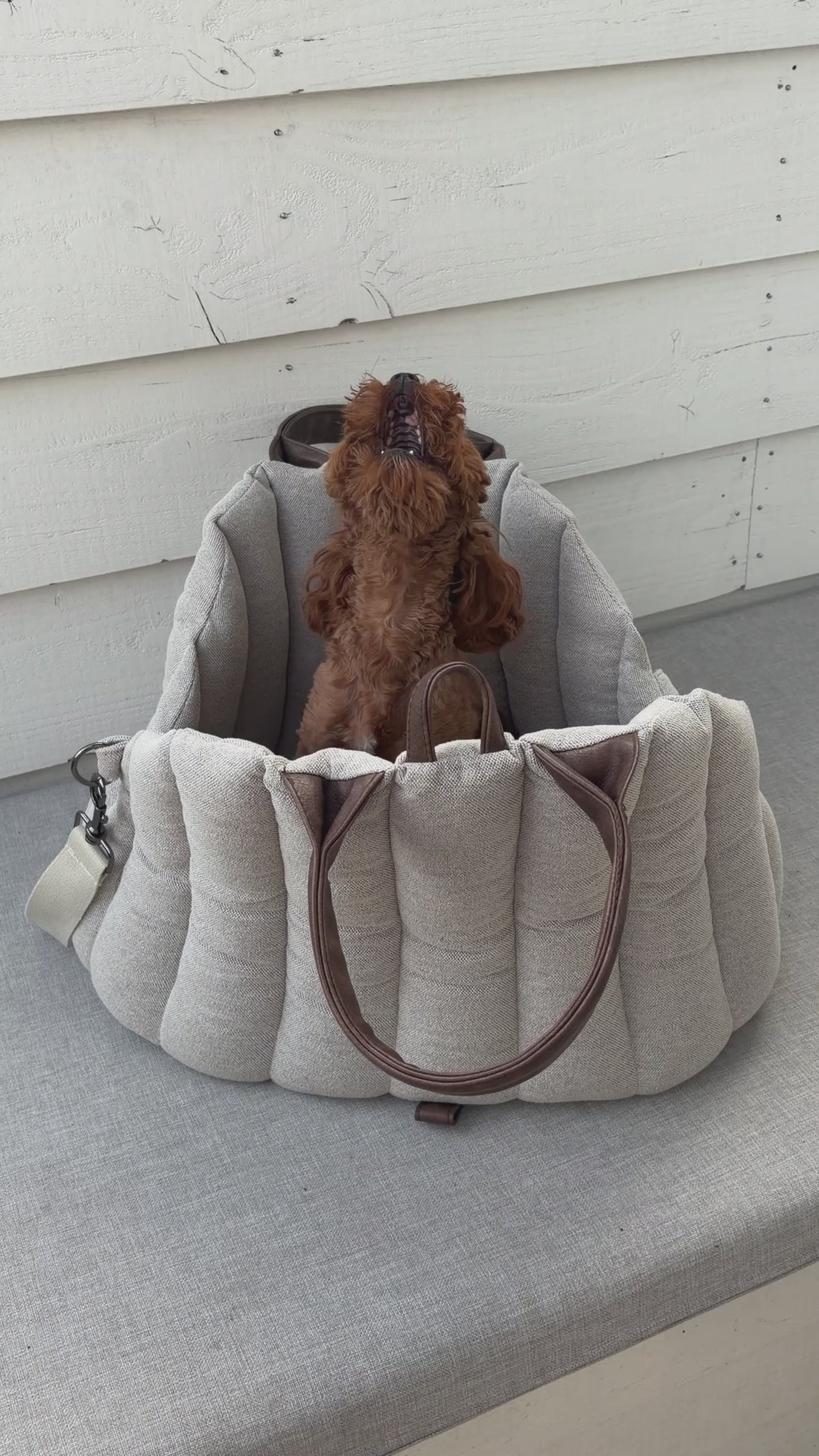 Haven Carrier · Linen Sand