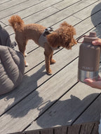 Go Bottle · Mocha Stone
