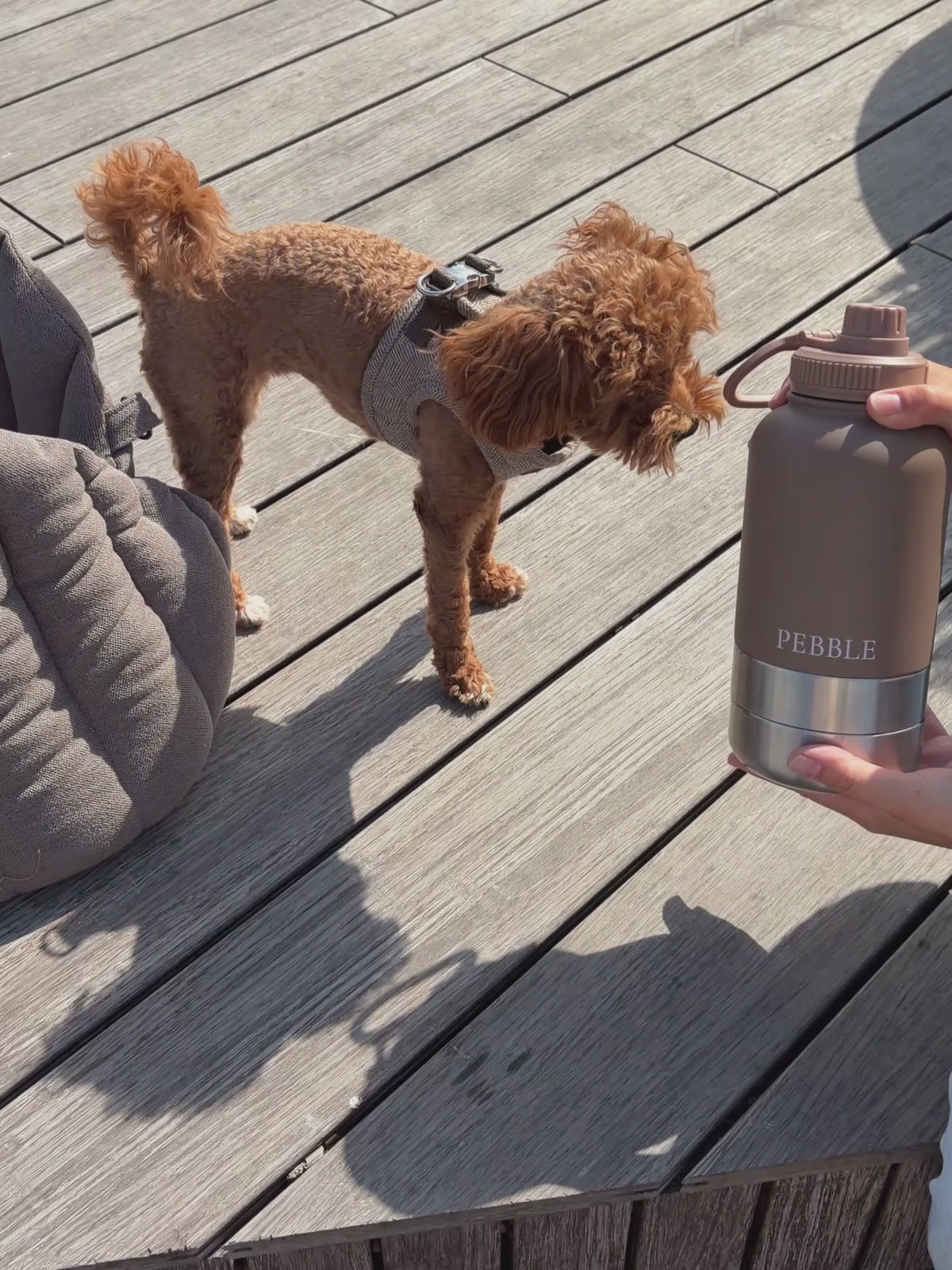Go Bottle · Mocha Stone